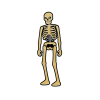 Skeleton Lapel Pin