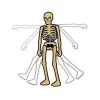 Skeleton Lapel Pin